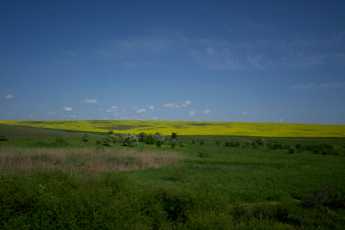 Colors of Ukraina